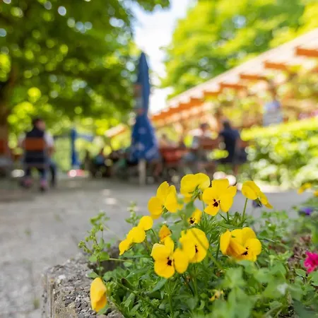 Zur Triftsperre Gasthof